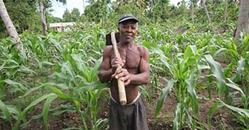 Haiti-farmer-ecwid-350-.jpg