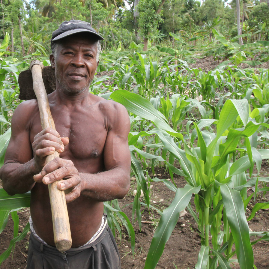 haitian_man_farmer_400.png