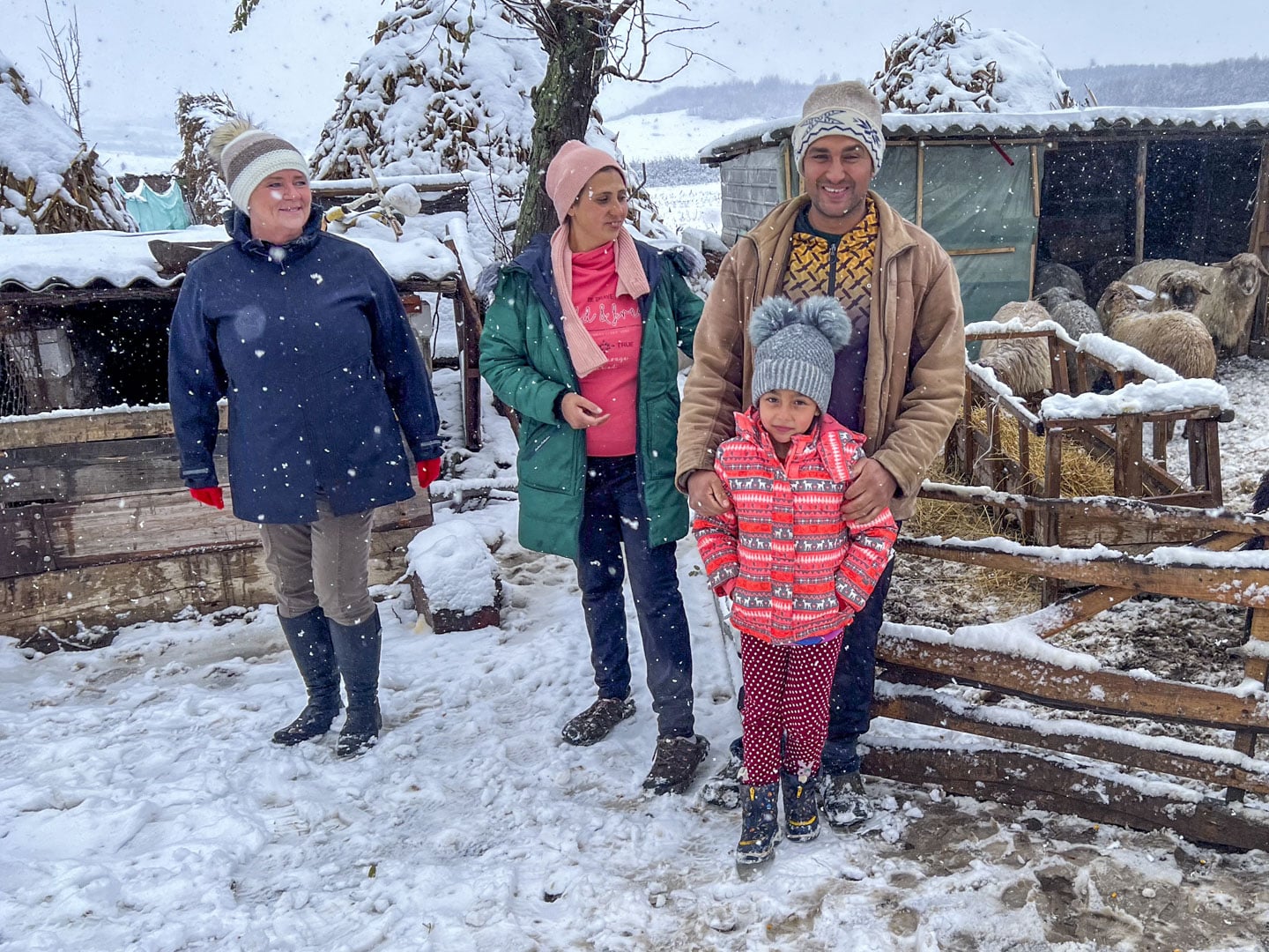 Star of Hope Who will save us from the cold? romania cold 2024 2