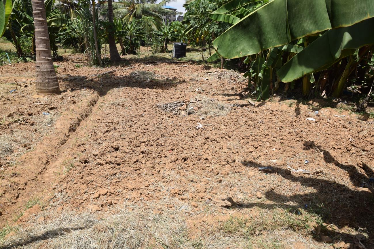 Star of Hope Excellent Report from Kenya JANUARY 2024 REPORT SOH 8