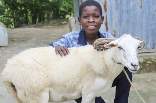star of hope year in review wergh