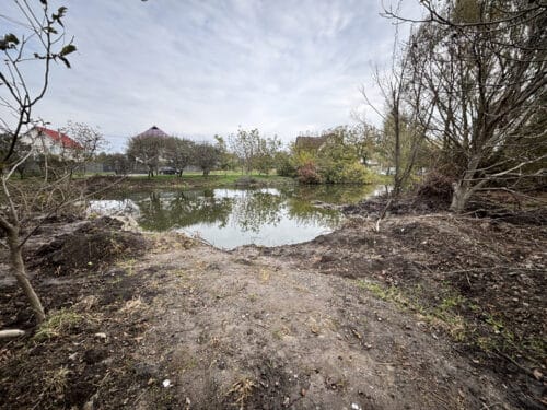 look working in the Ukraine at a focus business school seminar